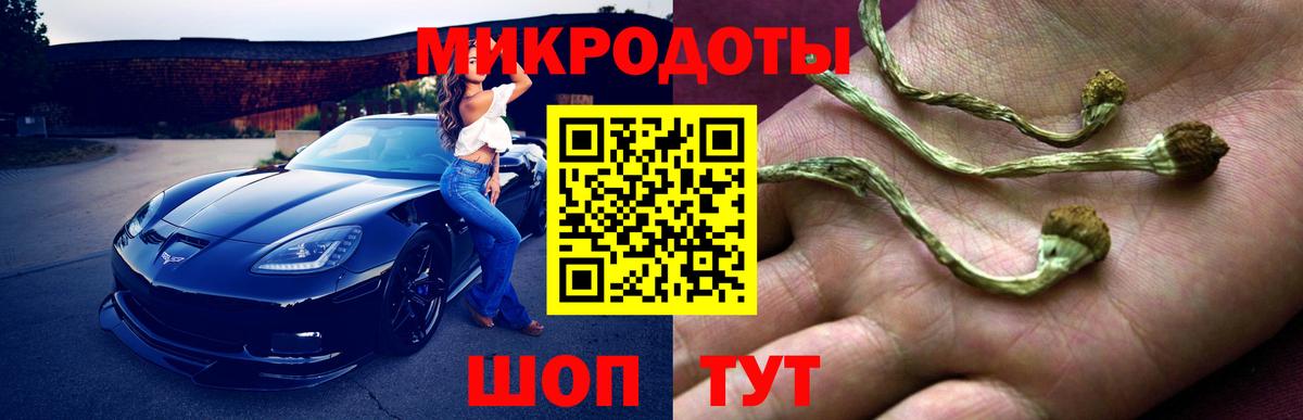 как найти наркотики  Псилоцибиновые грибы мухоморы  Вход с VPN  Липецк  Галлюциногенные грибы мухоморы 