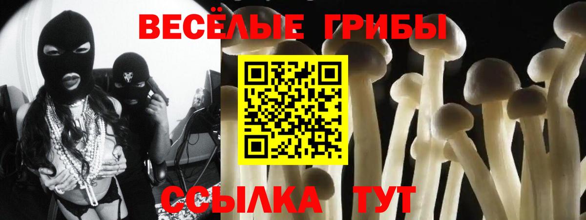Галлюциногенные грибы Cubensis Липецк